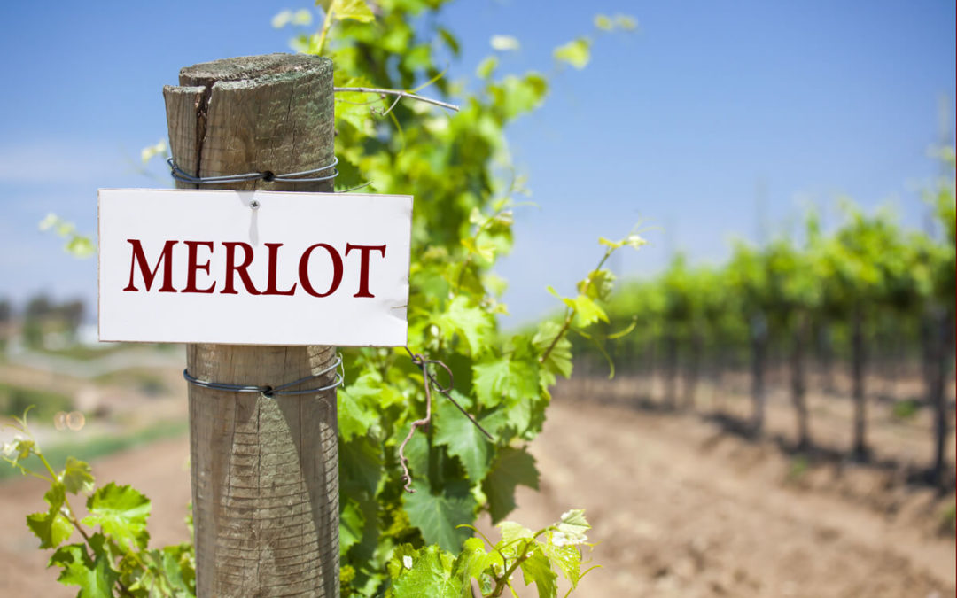 7 novembre : Journée internationale du Merlot