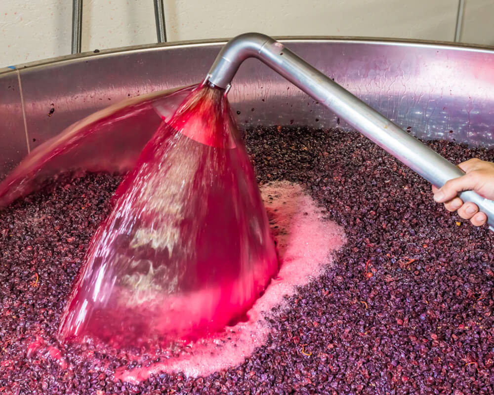 Maceration-du-vin