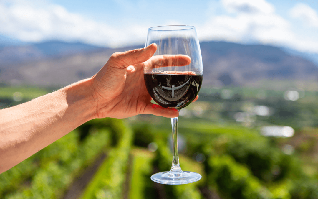 Tout savoir sur l’oxydation du vin