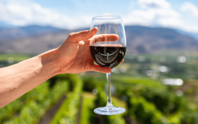 Tout savoir sur l’oxydation du vin